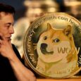 Everything About Dogecoin That You Need To Know!