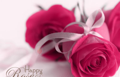 happy rose day shayari in hindi, happy rose day sms in english, gulaab shayari in hindi