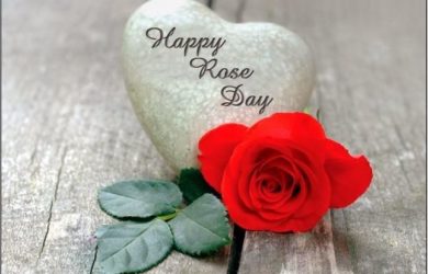 Happy rose day sayings, rose day messages in hindi, rose day message in english, rose day sayings for boyfriend and girlfriend