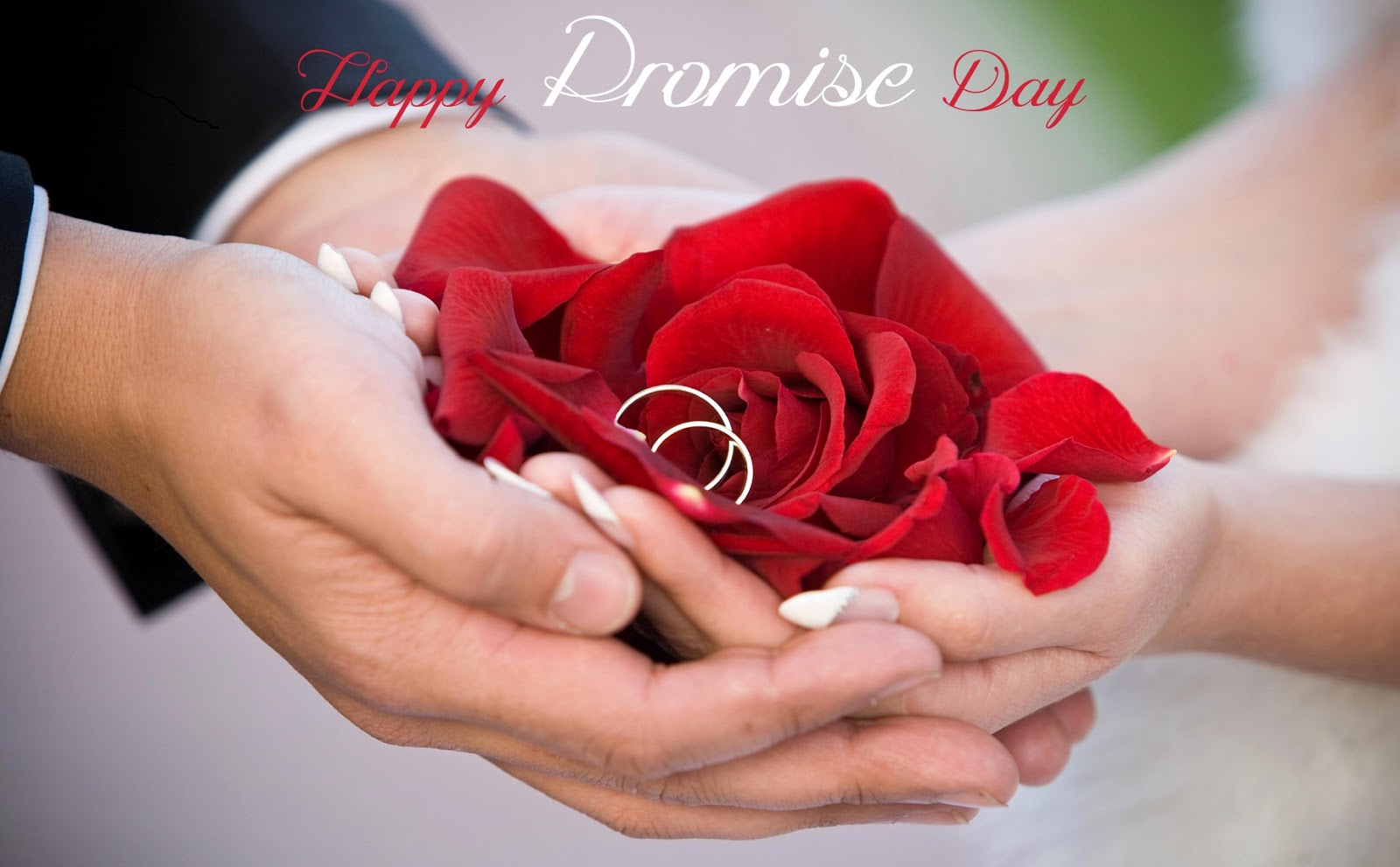 1000+ Happy Promise Day Status & Wishes in Hindi | English