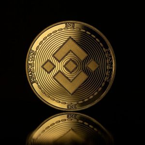 The Advantages and Disadvantages of Investing in Binance Coin