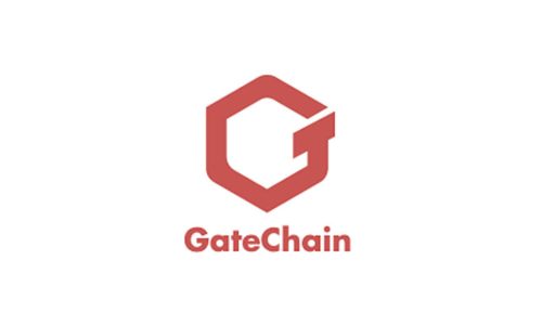 GateToken: A Comprehensive Review - Introduction to GateToken